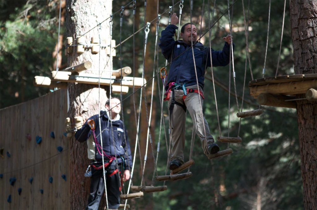 Equipo con líder resonante trabajando para superar desafíos de Team Building en los árboles