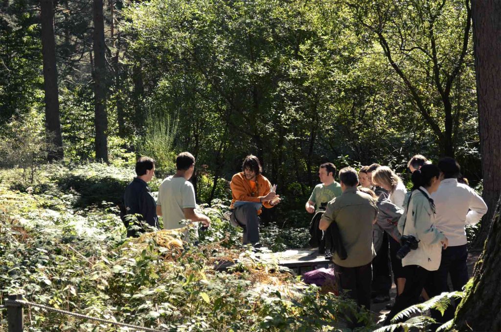 Equipo de trabajo en programa de Team Building en naturaleza para trabajar no darse excusas para no triunfar en Amazonia Team Factory