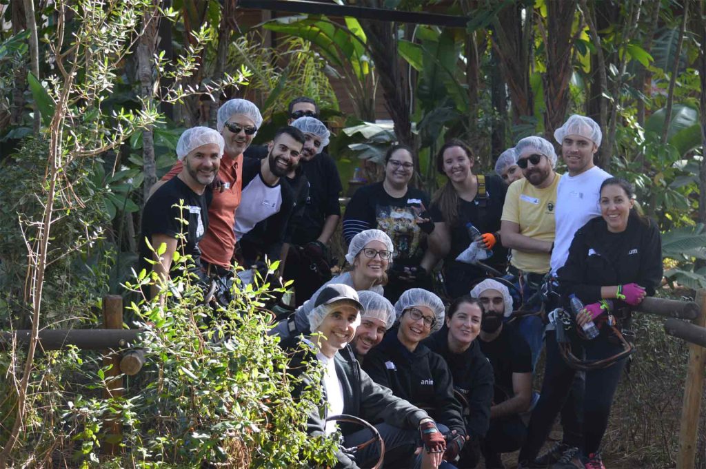 Equipo de trabajo de empresa desarrollando programa sobre empatía en el trabajo y sus beneficios